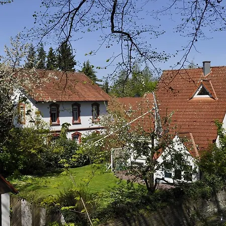 Hotel Am 3*